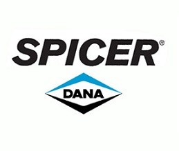 DANA SPICER