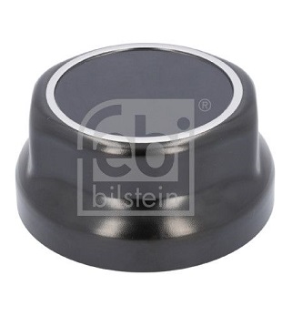 0321224250 BPW-Daf hub cap