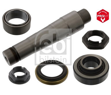 20751021-VOLVO FE, FH KINGPIN KIT (WHEEL SET)