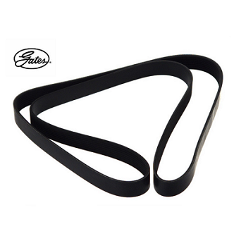 5801574531 Iveco x-way poly v-belt