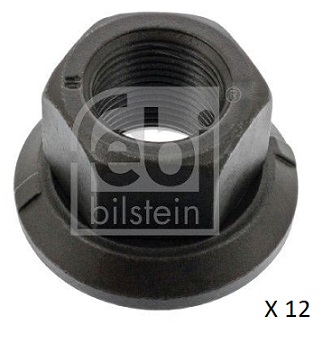 0252192010 BPW wheel nuts (pack of 12)
