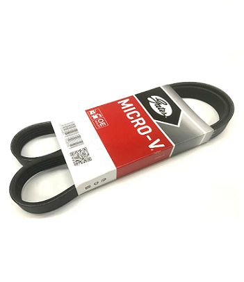 2013949 DAF poly rib belt
