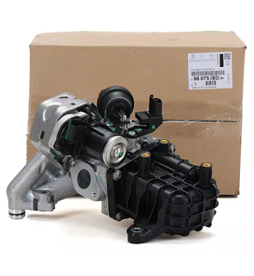 9807593080 Citroen-Peugeot EGR valve (Genuine)